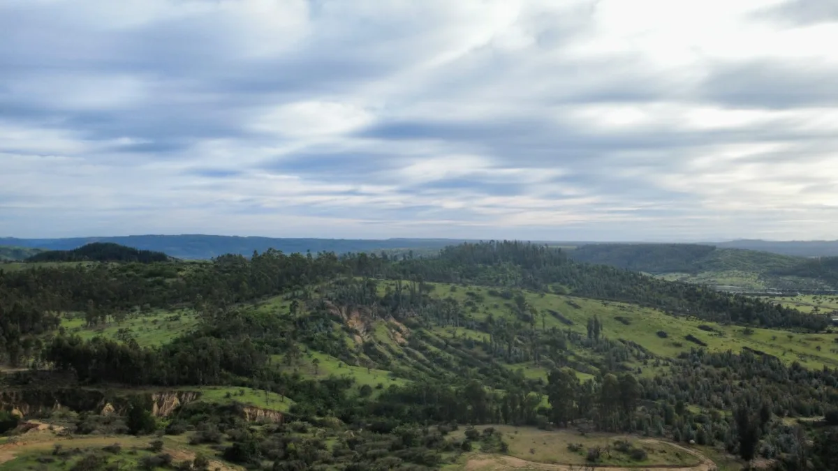 Marchihue — foto 4
