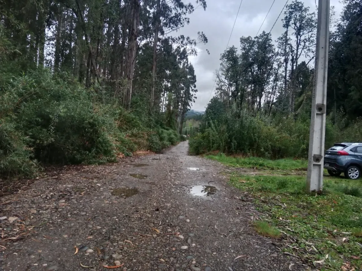 Parcela de 5.000 m² en la Región de los Lagos — foto 6