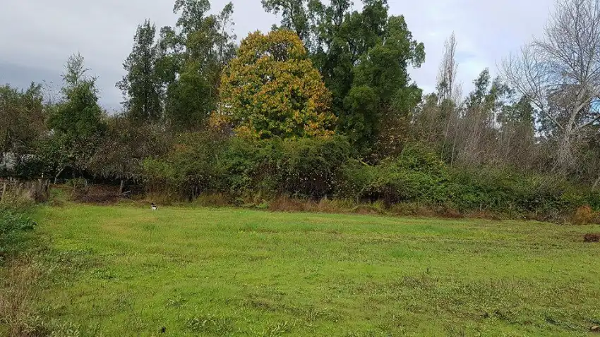 TERRENO RURAL DE 2,13 HECTÁREAS EN SANTA ELENA, LAJA