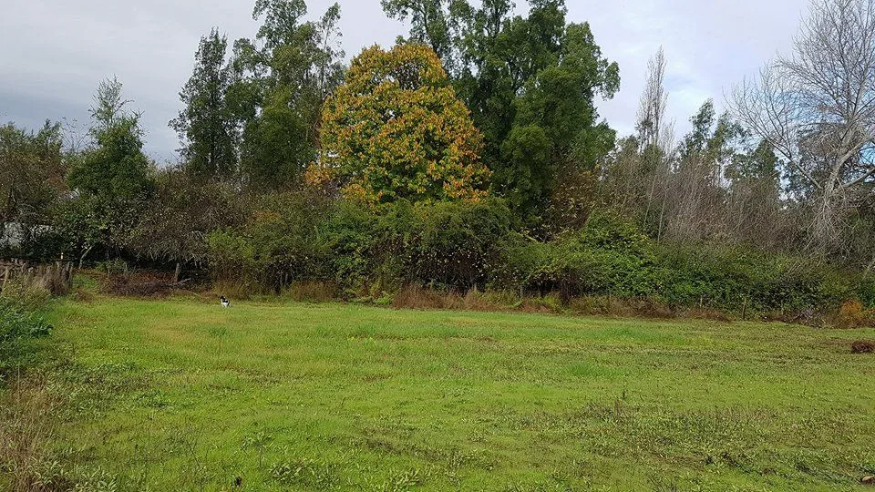 TERRENO RURAL DE 2,13 HECTÁREAS EN SANTA ELENA, LAJA — foto 1