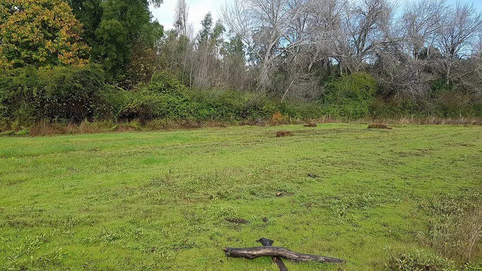 TERRENO RURAL DE 2,13 HECTÁREAS EN SANTA ELENA, LAJA — foto 4