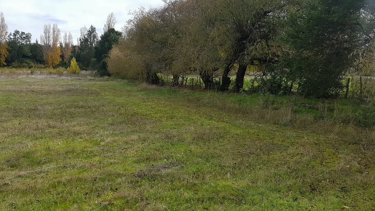 TERRENO RURAL DE 2,13 HECTÁREAS EN SANTA ELENA, LAJA — foto 2