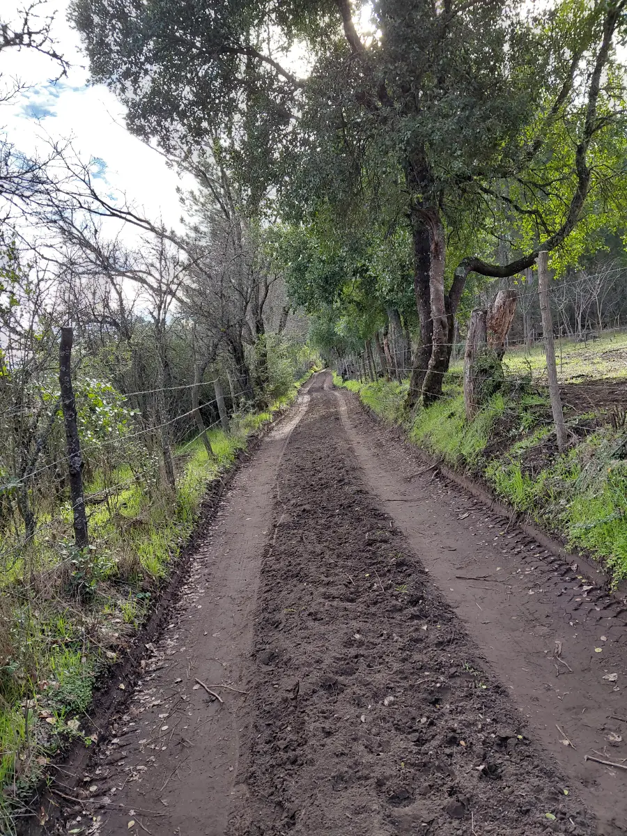 TERRENO RURAL DE 2,13 HECTÁREAS EN SANTA ELENA, LAJA — foto 7
