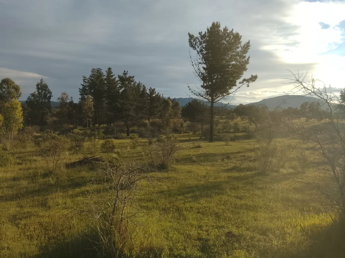 Parcela San Nicolas 5000 mts2 — foto 2
