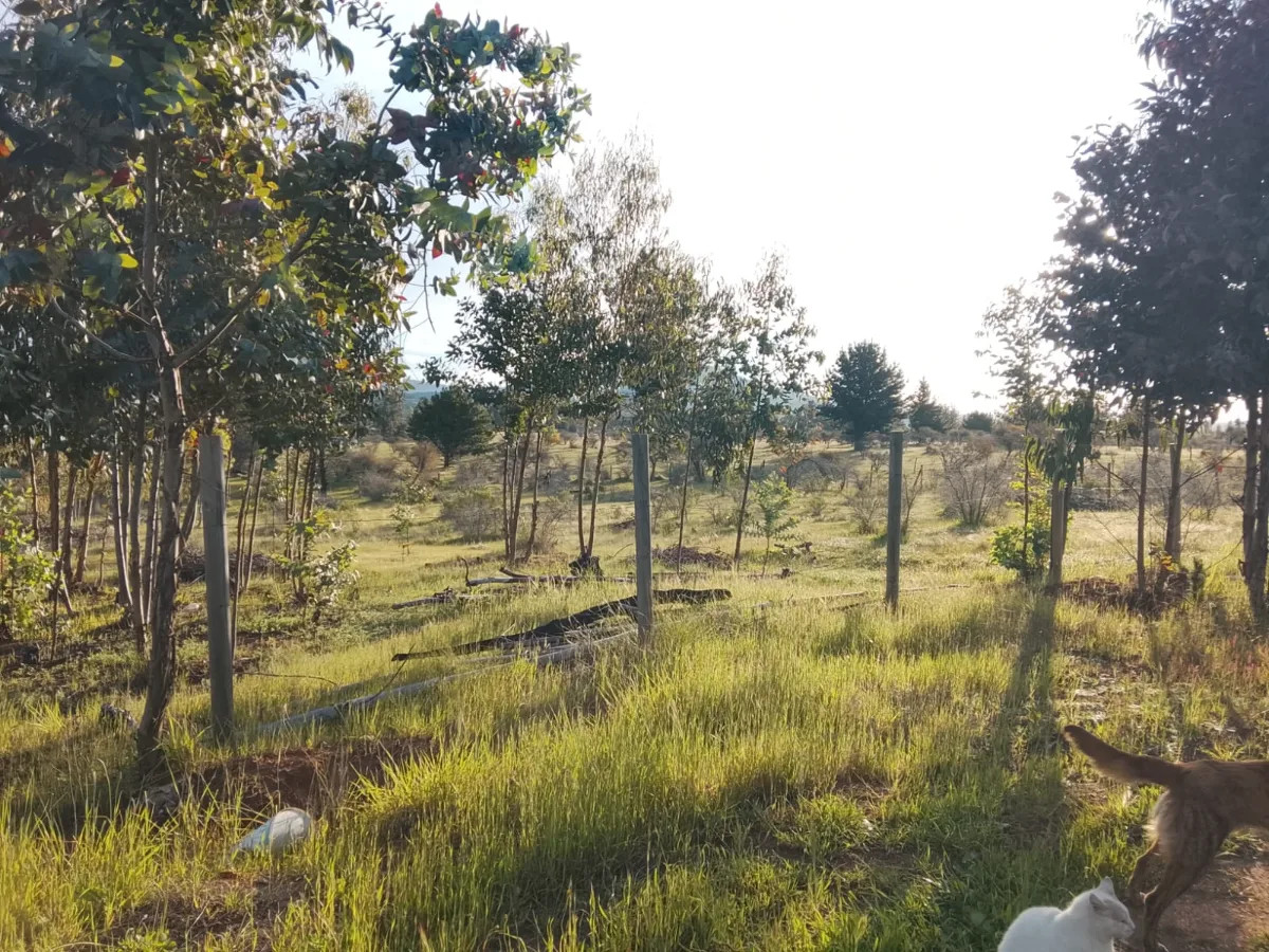 Parcela San Nicolas 5000 mts2 — foto 1