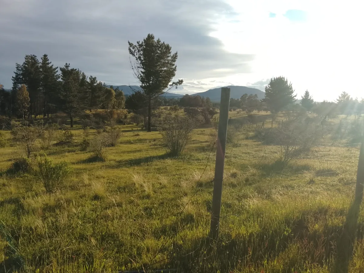 Parcela San Nicolas 5000 mts2 — foto 4