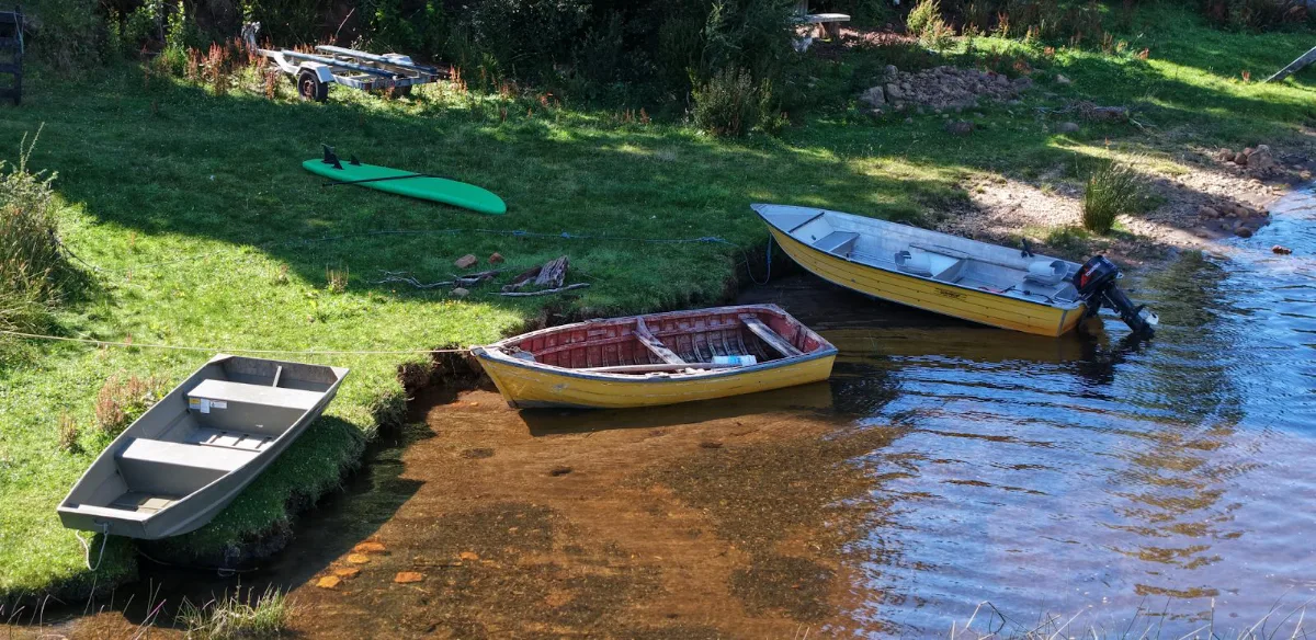 Parcela 1 de 5.000 m² con orilla del Lago Portales, Aysén, foto 4