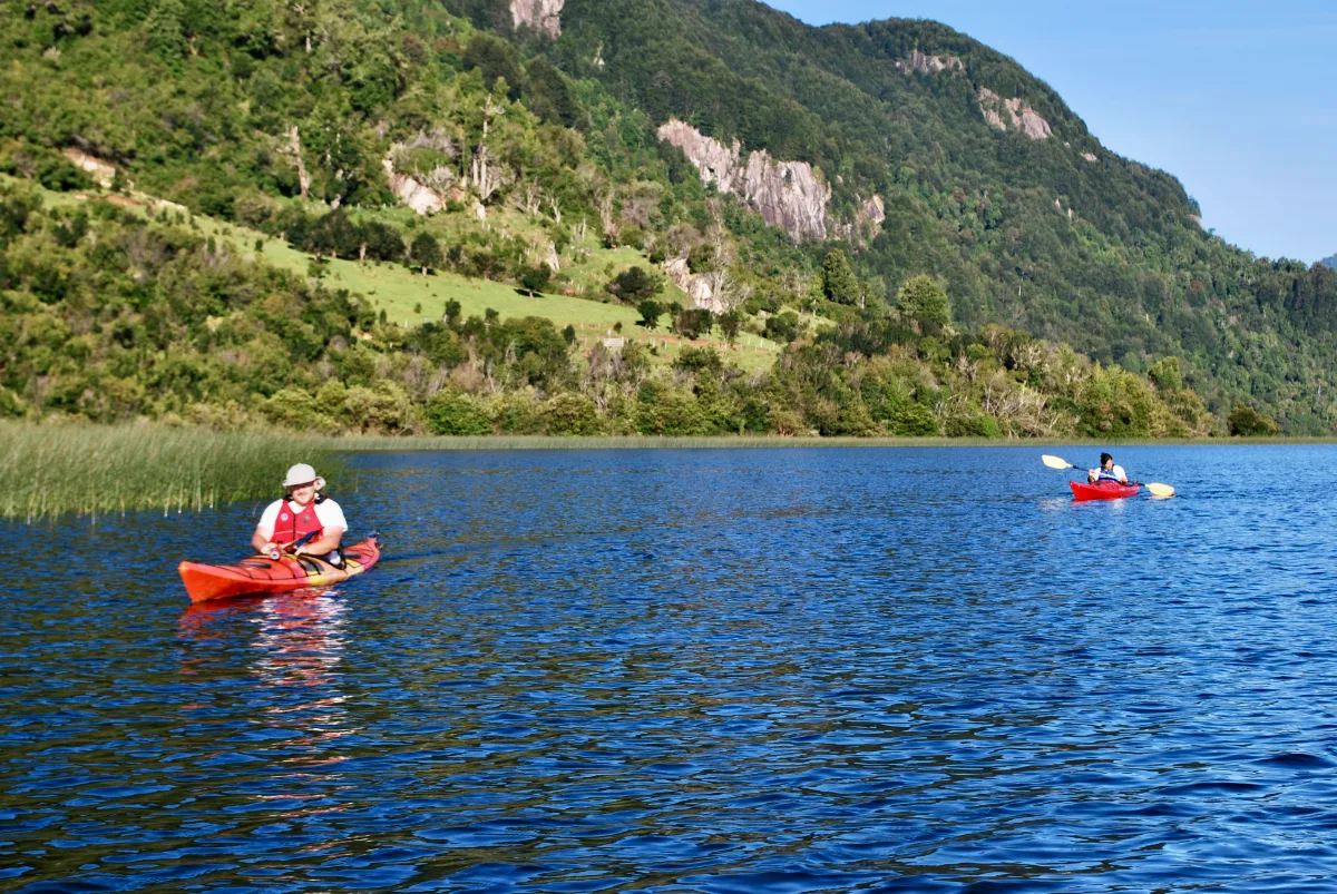 Parcela 1 de 5.000 m² con orilla del Lago Portales, Aysén, foto 3
