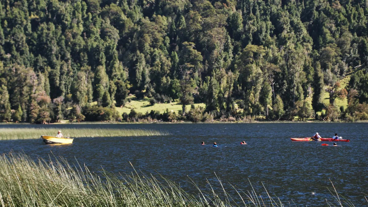 Parcela 1 de 5.000 m² con orilla del Lago Portales, Aysén, foto 8