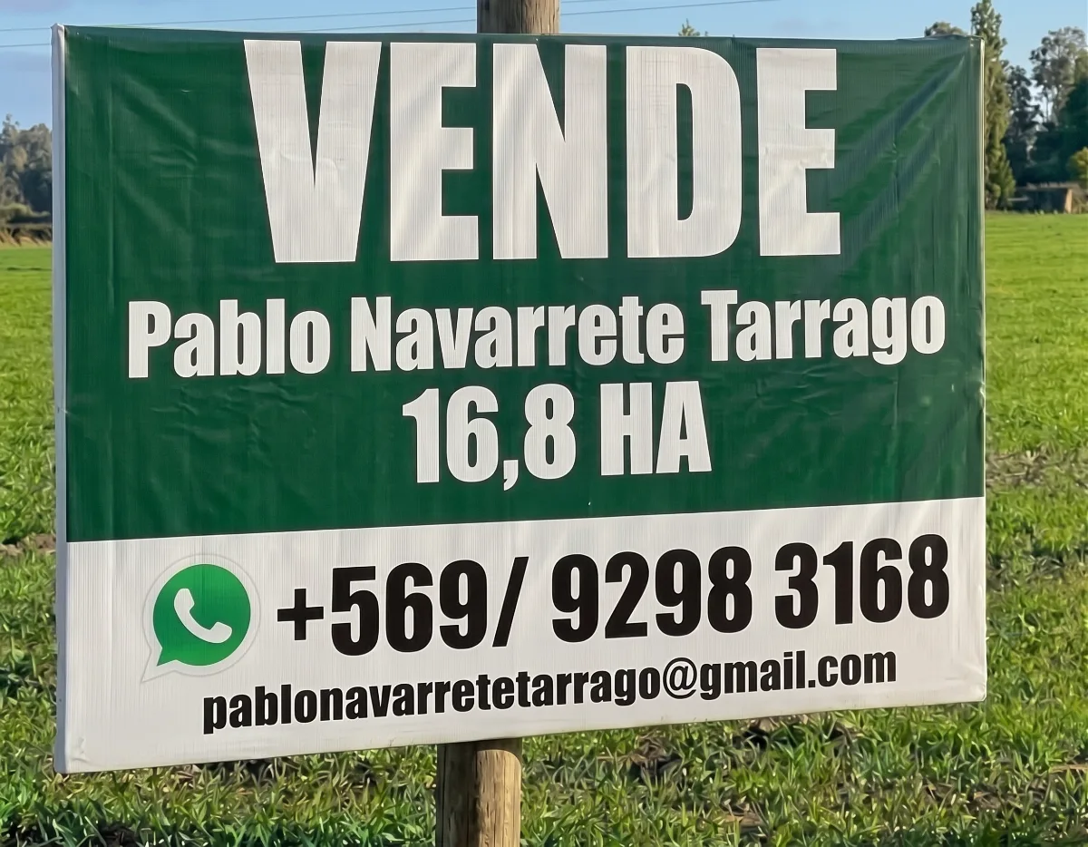 Campo / Comercial 16,8 Há - 360m Frente Ruta 5 Villa Alegre, foto 2