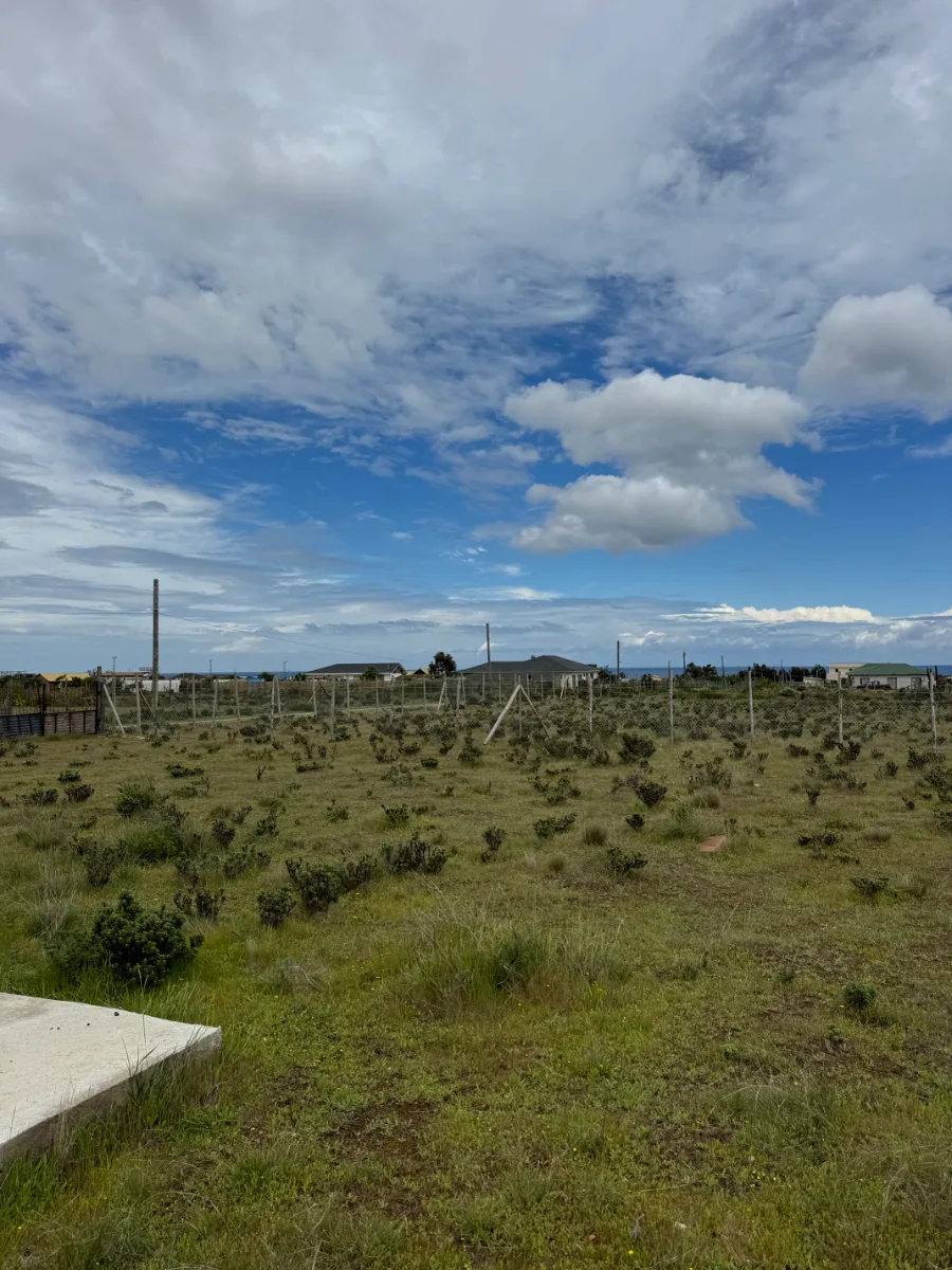 Parcela de 5.000 m² con vista al mar – Mirador de Los Molles, foto 3