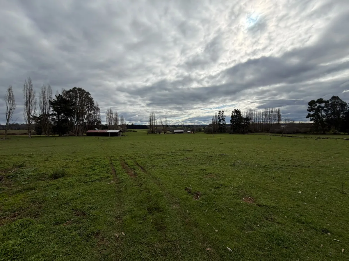 Campo agrícola-ganadero 30,35 ha en Chacayal, San Pablo, foto 1