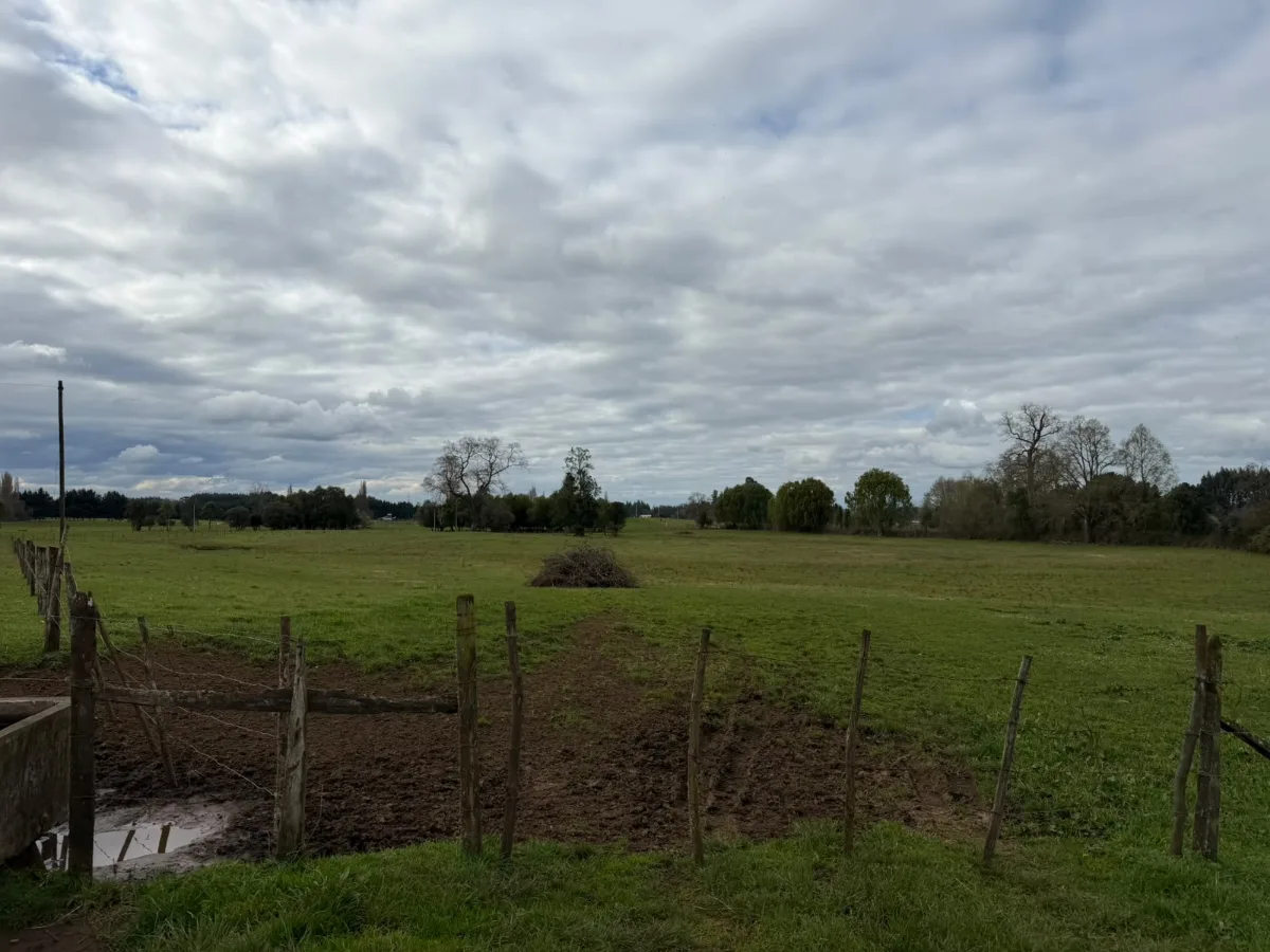 Campo agrícola-ganadero 30,35 ha en Chacayal, San Pablo, foto 6