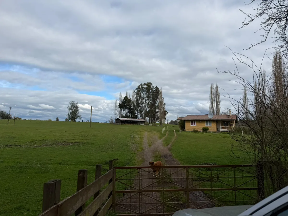 Campo agrícola-ganadero 30,35 ha en Chacayal, San Pablo, foto 2