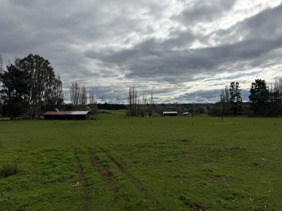 Campo agrícola-ganadero 30,35 ha en Chacayal, San Pablo, foto 5