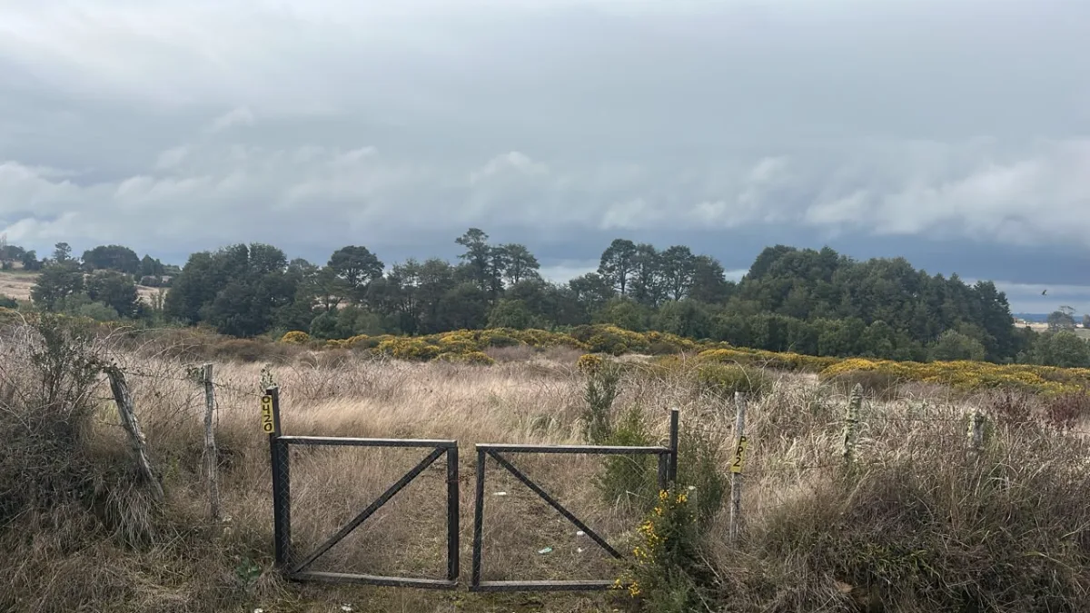 🌿 Oportunidad: parcela de 5.000 m² en quinched, Chiloé, foto 6