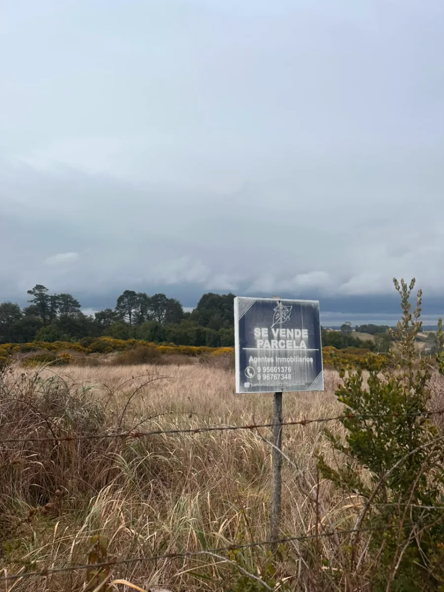 🌿 Oportunidad: parcela de 5.000 m² en quinched, Chiloé, foto 1