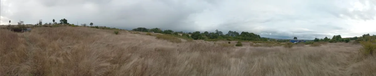 🌿 Oportunidad: parcela de 5.000 m² en quinched, Chiloé, foto 2