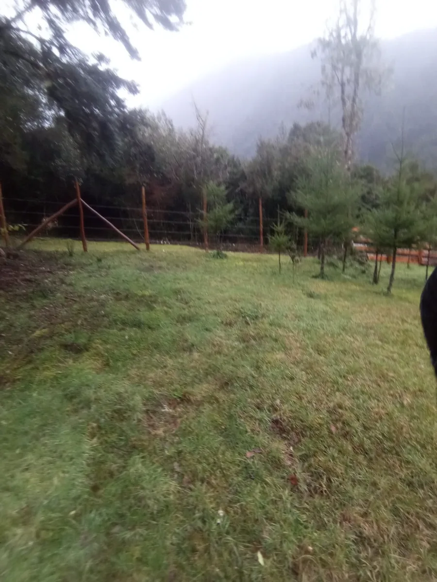 Parcela 10.000m2, Ralun Los Ladrillos, foto 8