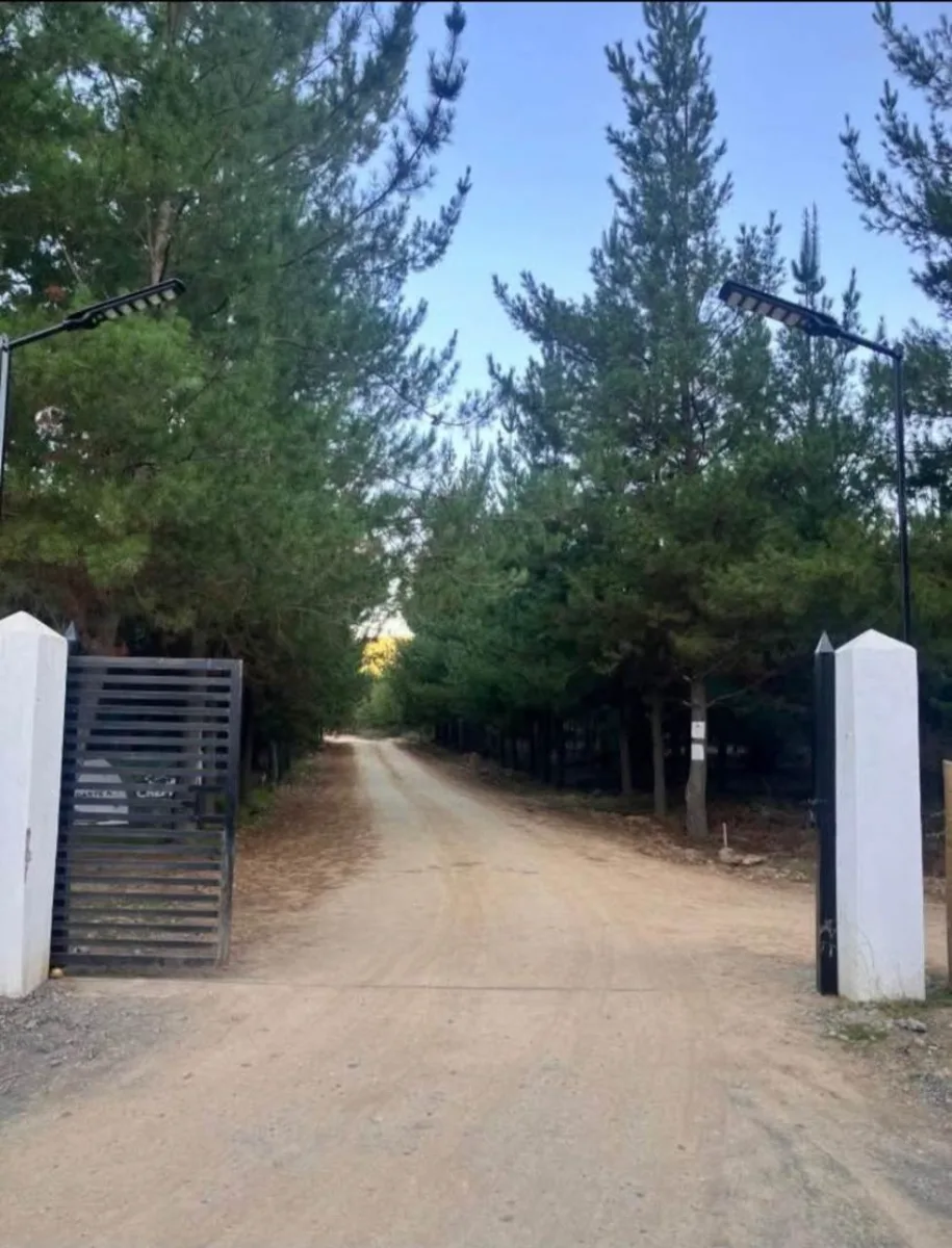 Parcelas de 5.000 m² en Chépica, Región de O'Higgins, foto 1