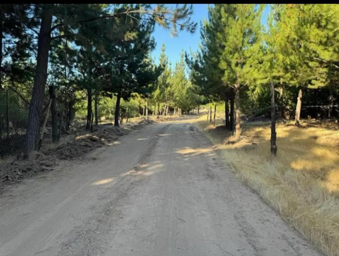 Parcelas de 5.000 m² en Chépica, Región de O'Higgins, foto 5