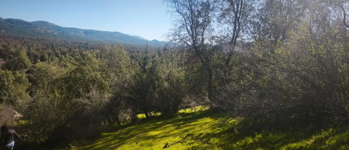 Parcelas de 5.000 m² en Chépica, Región de O'Higgins, foto 8