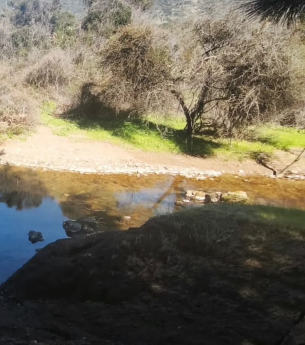 Parcelas de 5.000 m² en Chépica, Región de O'Higgins, foto 7