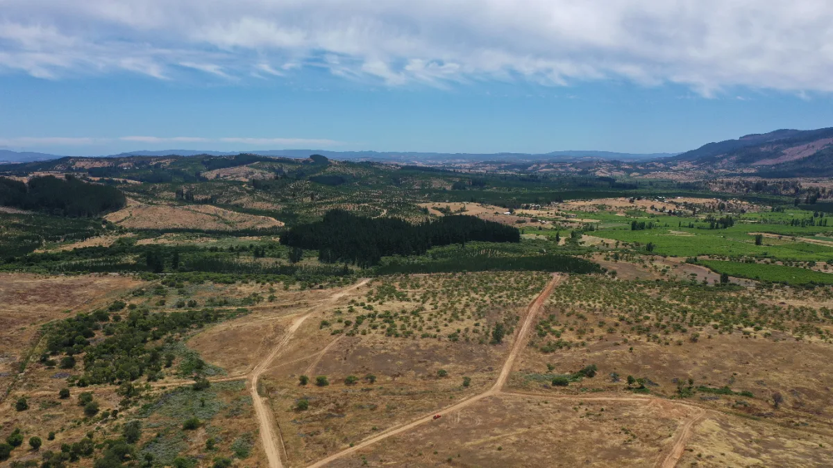 Parcelas de 5.000 m² en Ninhue, Región de Ñuble, foto 3