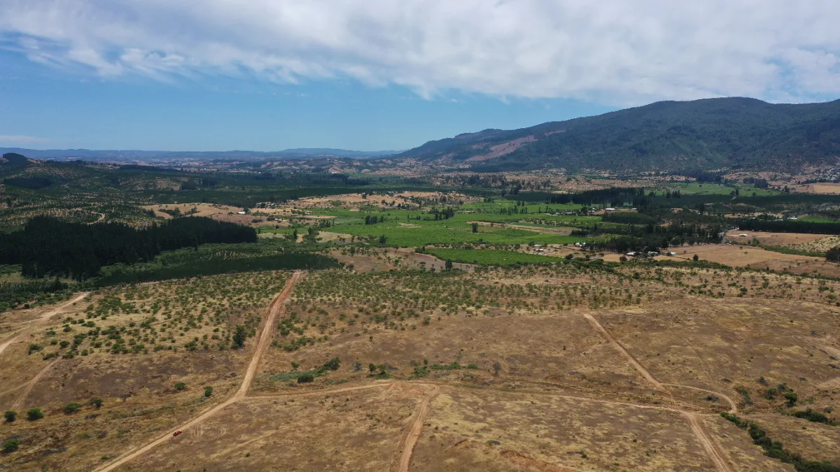 Parcelas de 5.000 m² en Ninhue, Región de Ñuble, foto 1