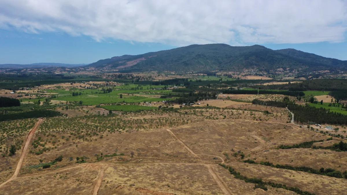 Parcelas de 5.000 m² en Ninhue, Región de Ñuble, foto 2