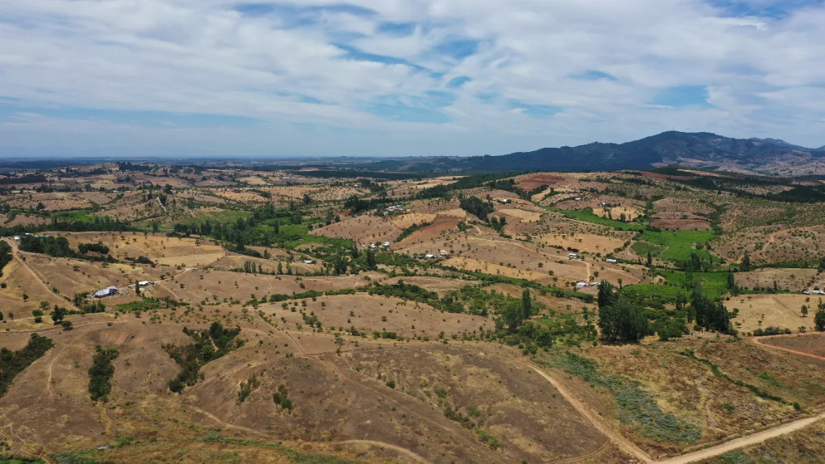 Parcelas de 5.000 m² en Ninhue, Región de Ñuble, foto 6