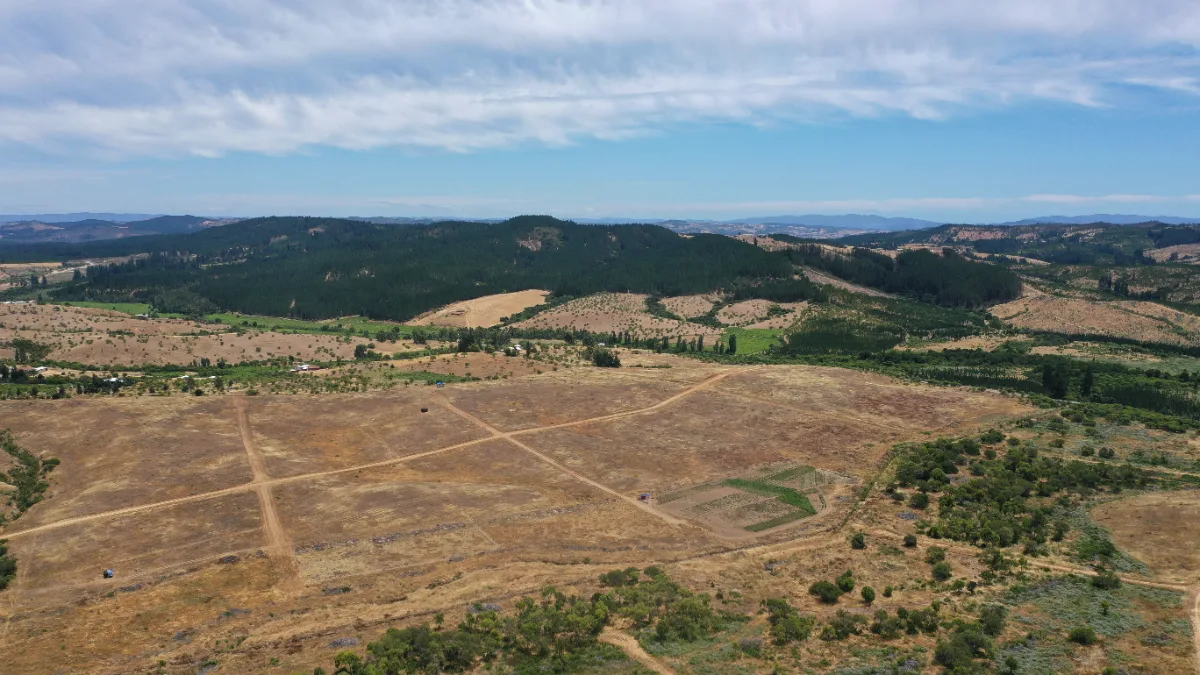 Parcelas de 5.000 m² en Ninhue, Región de Ñuble, foto 4