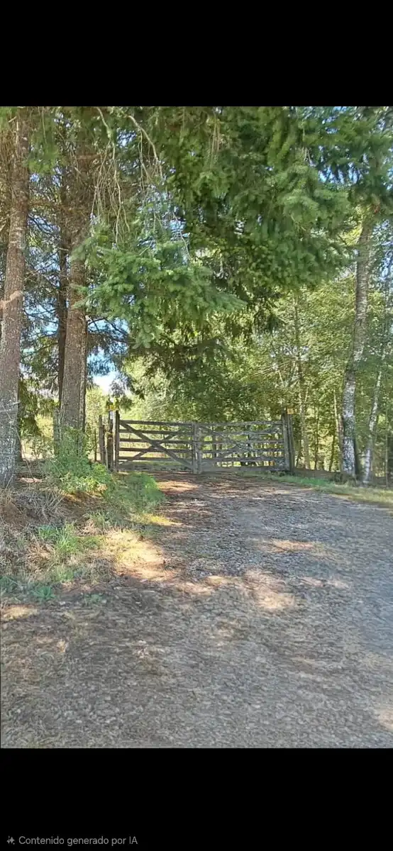 Hermosa parcela en Chancoyan Alto, comuna de Valdivia