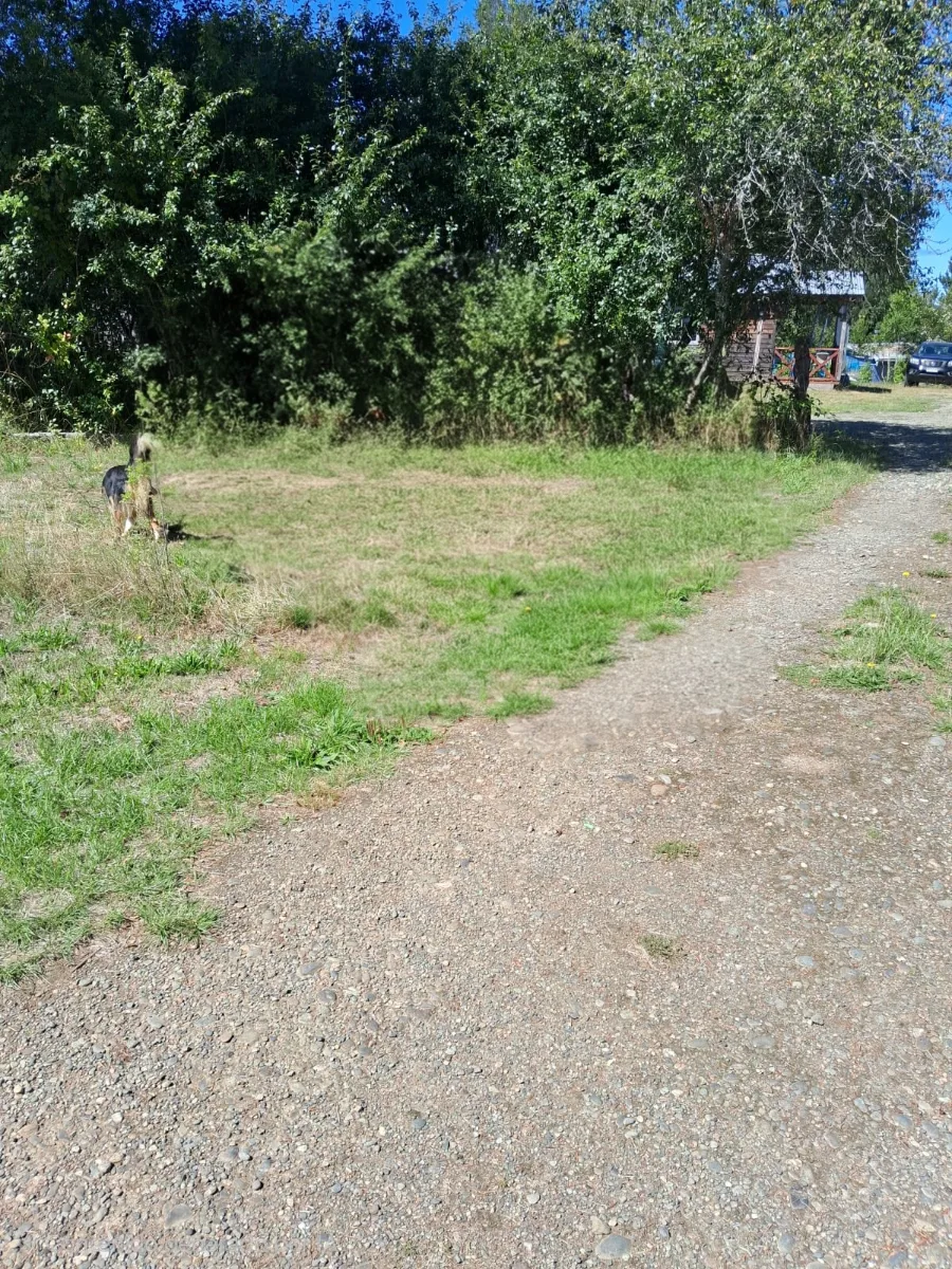 Hermosa parcela en Chancoyan Alto , comuna de Valdivia, foto 2