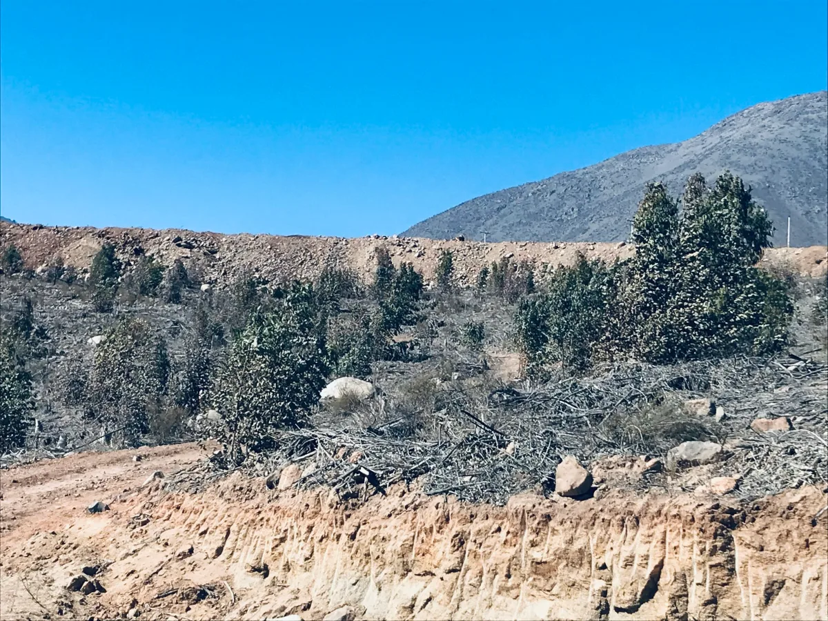Parcelas en Las Rojas, Valle de Elqui, 5.000 m² - rol propio, foto 3