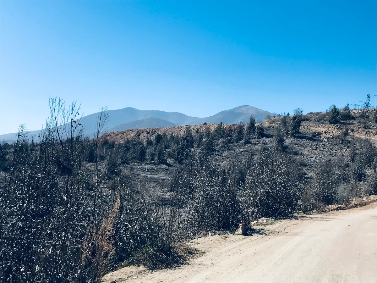 Parcelas en Las Rojas, Valle de Elqui, 5.000 m² - rol propio, foto 2