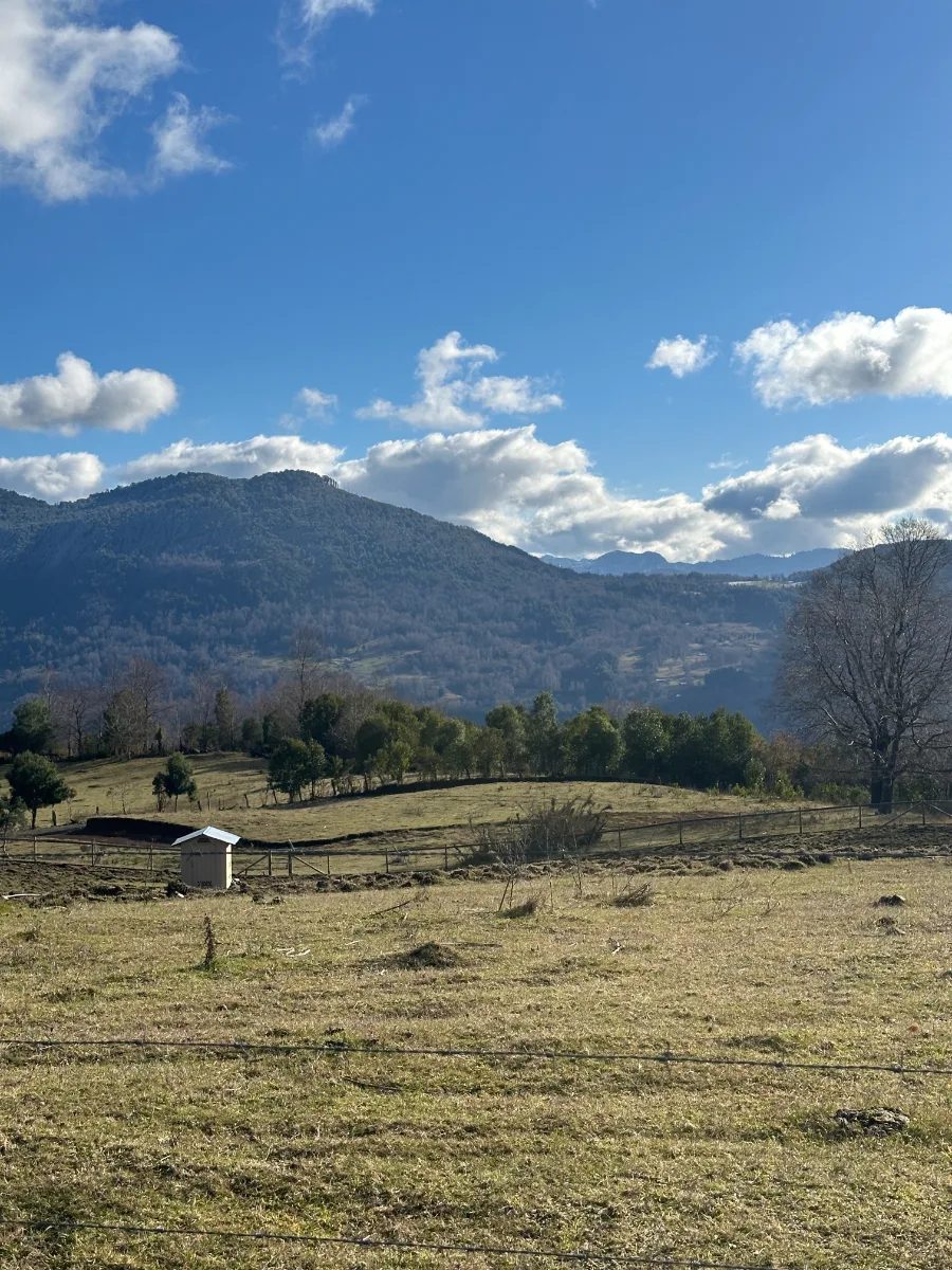 Parcela urbanizada 6.000 m2 en el Papal - Huepil, foto 2