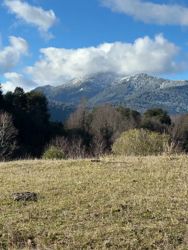 Parcela urbanizada 6.000 m2 en el Papal - Huepil