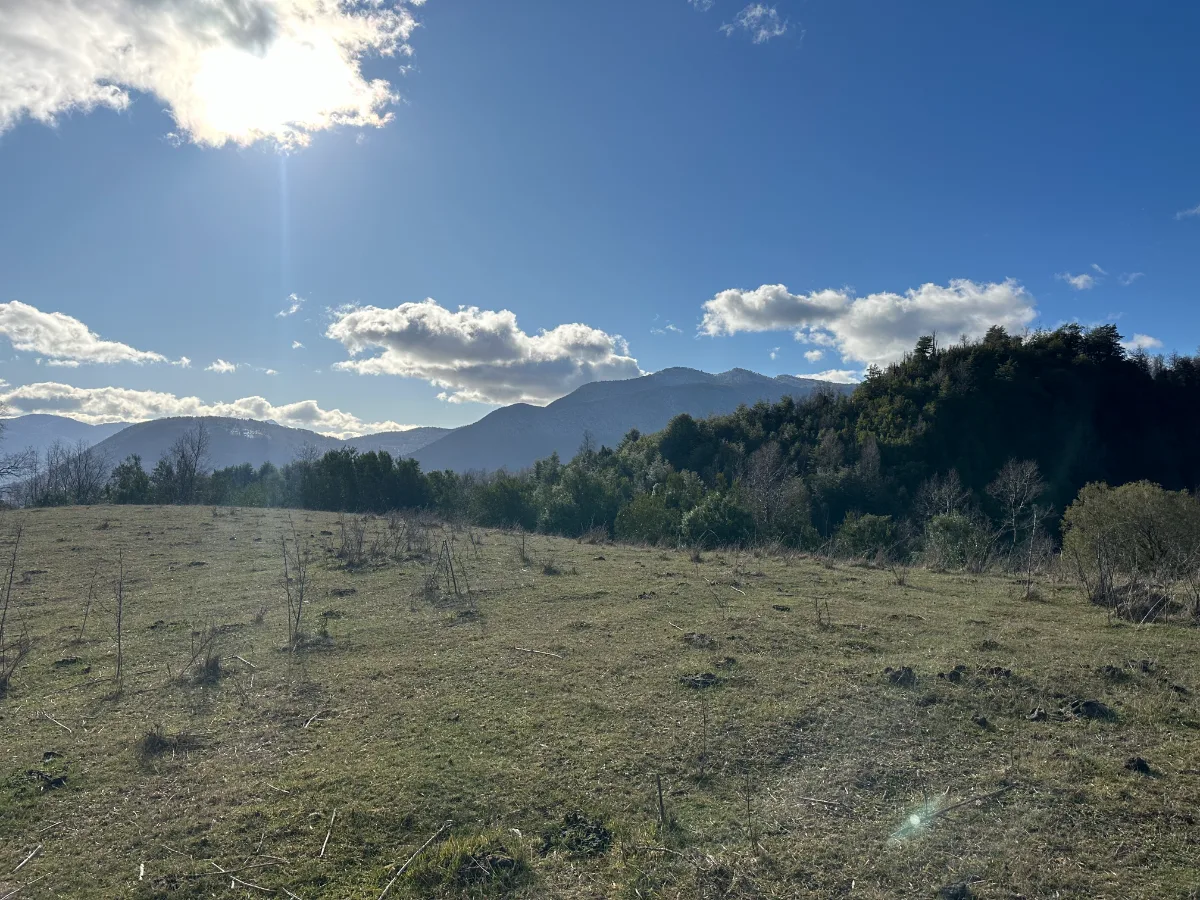 Parcela urbanizada 6.000 m2 en el Papal - Huepil, foto 4