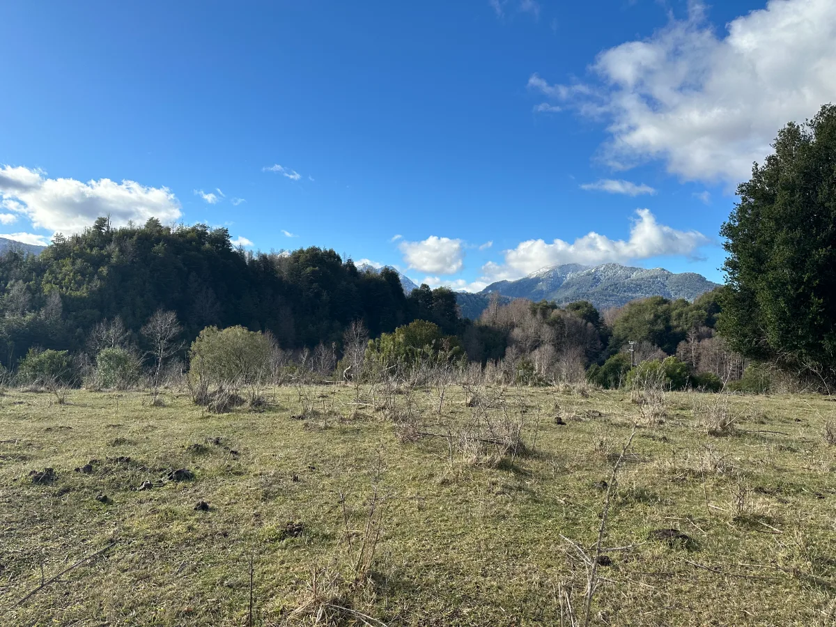 Parcela urbanizada 6.000 m2 en el Papal - Huepil, foto 5