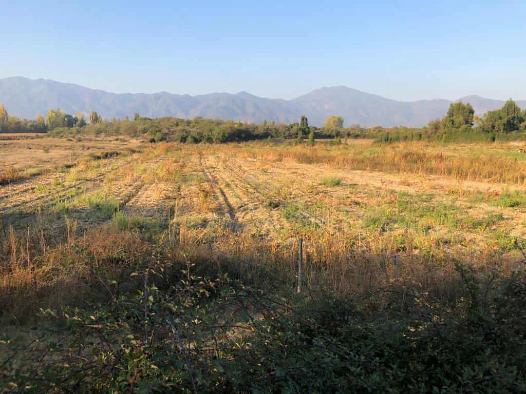 Parcela de 3 ha, sector El Durazno, Las Cabras, VI Región, foto 4