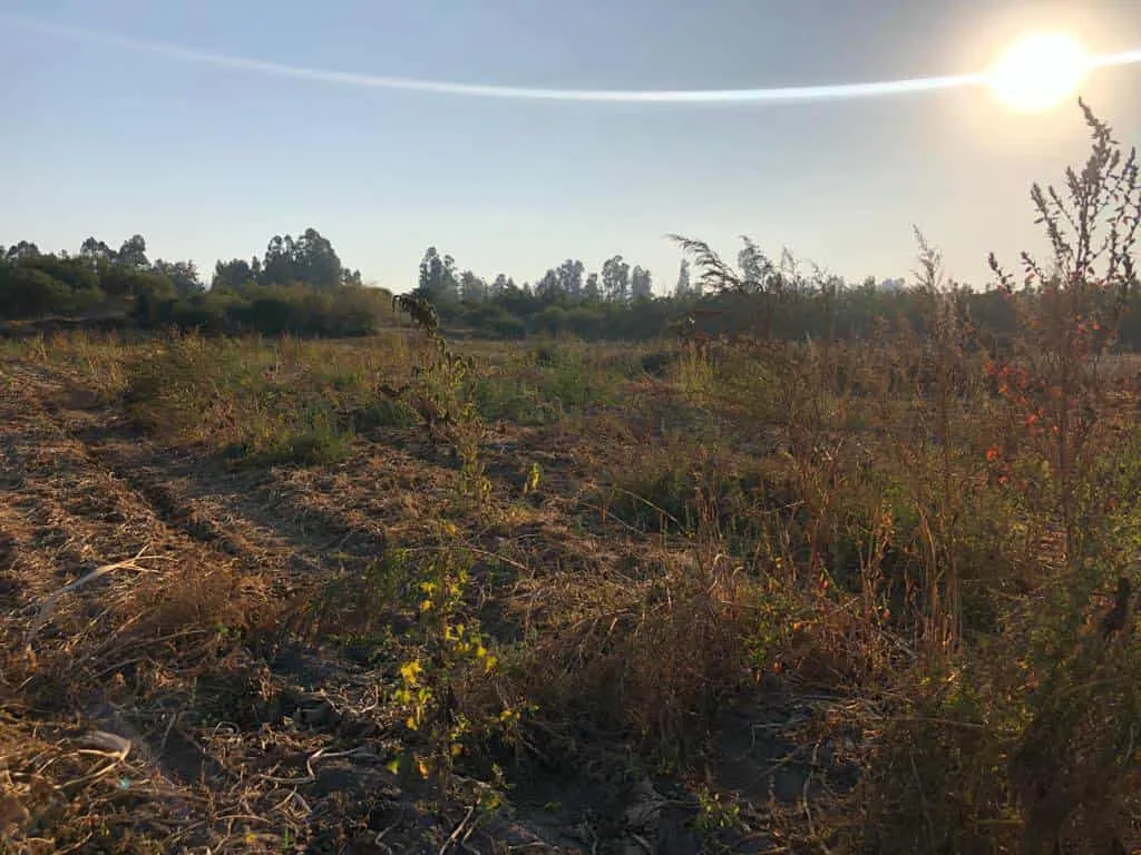 Parcela de 3 ha, sector El Durazno, Las Cabras, VI Región, foto 5