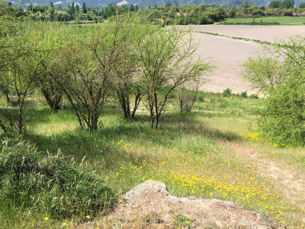 Parcela de 3 ha, sector El Durazno, Las Cabras, VI Región, foto 6