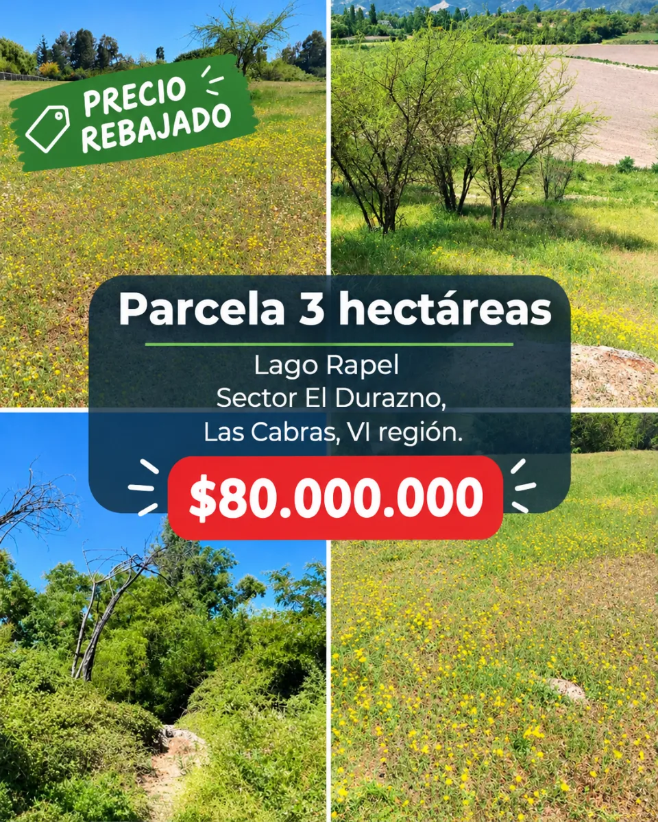 Parcela de 3 ha, sector El Durazno, Las Cabras, VI Región, foto 1