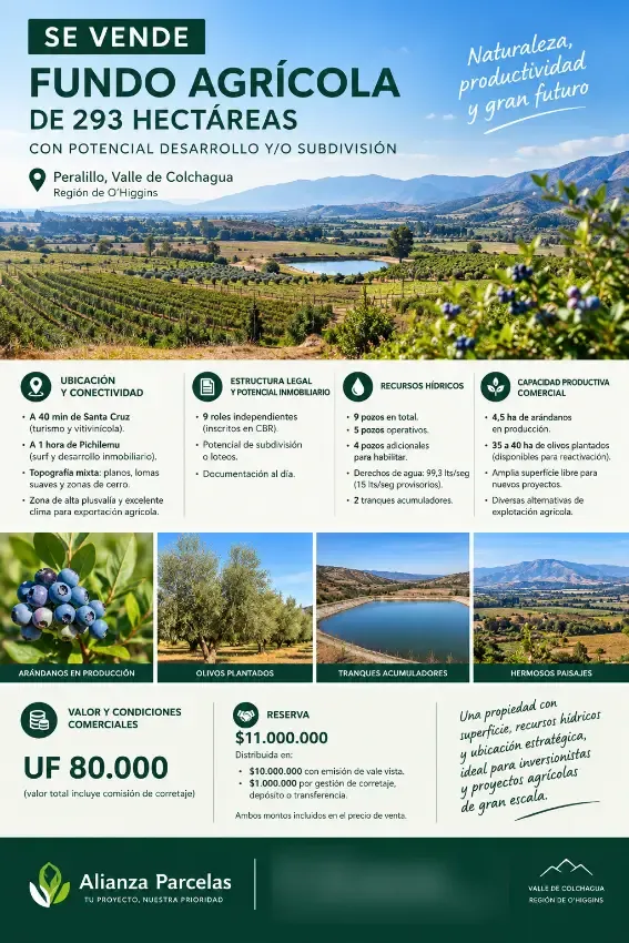 Campo 293 ha, Peralillo, VI Región