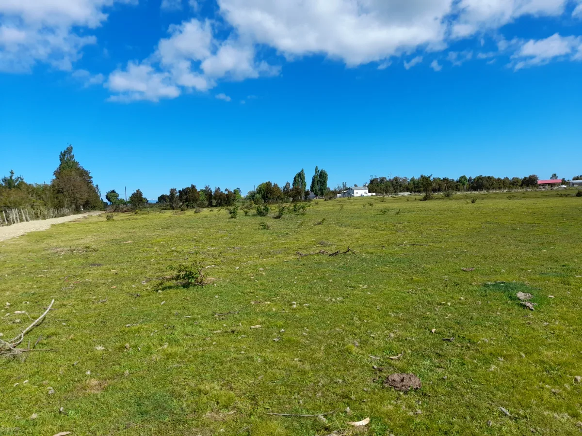 Parcelas 5.000m² rol propio - Cruce Cárdenas, Pto. Montt, foto 3