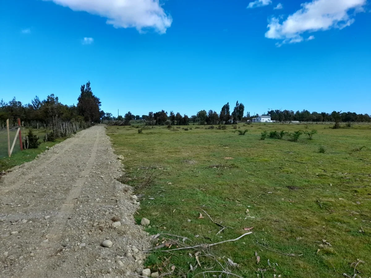 Parcelas 5.000m² rol propio - Cruce Cárdenas, Pto. Montt, foto 2