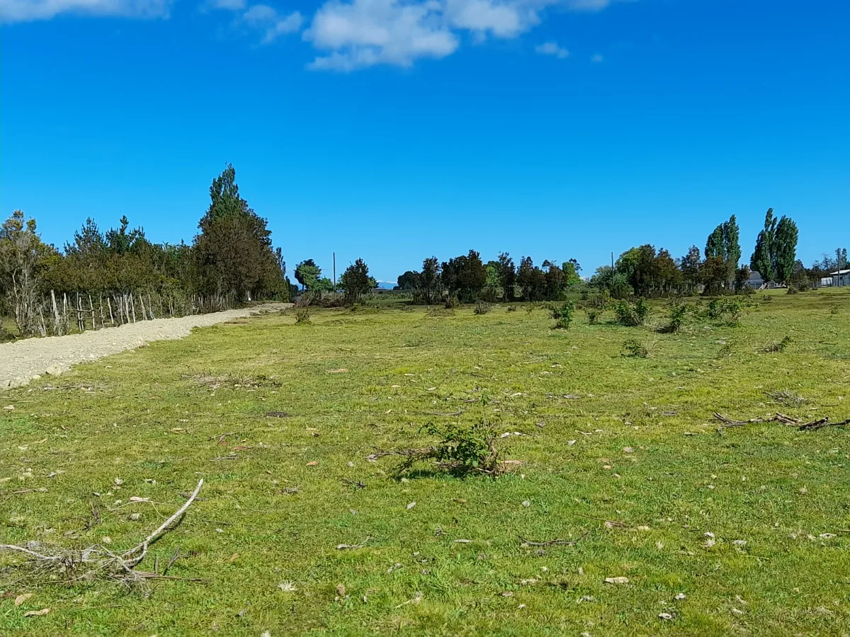 Parcelas 5.000m² rol propio - Cruce Cárdenas, Pto. Montt, foto 4