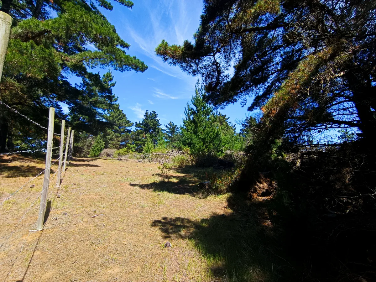 Parcelas en Laguna Verde, Valparaíso, 5.000 m2 con ROL, foto 3