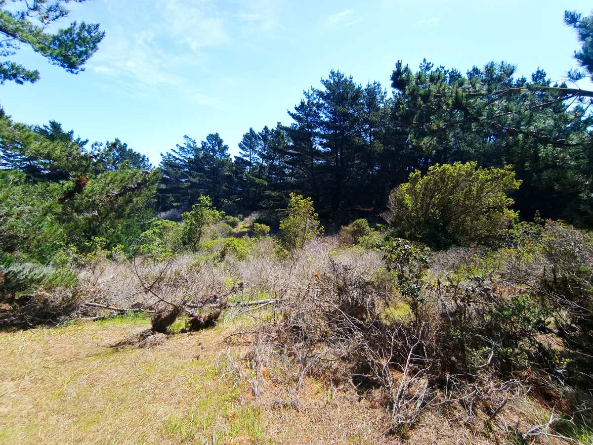 Parcelas en Laguna Verde, Valparaíso, 5.000 m2 con ROL, foto 2